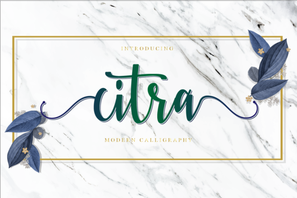 Citra: A Designer’s Honest Review of This Script Amp Typeface