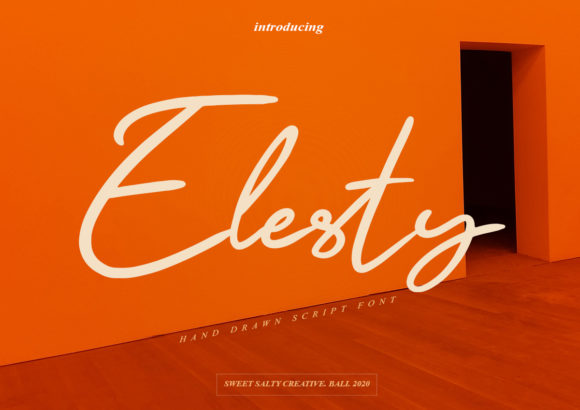 Elesty: The Elegant Handwritten Font for Modern Web Design