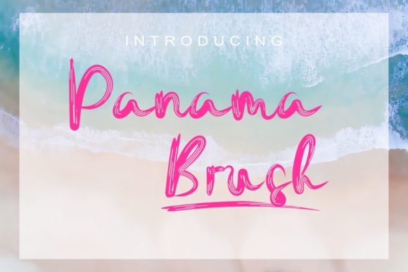 Real-World Review: Panama Brush for Professional Design