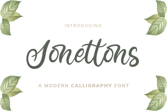 Sonettons: The Handwritten Typeface That Elevates Small Business Branding