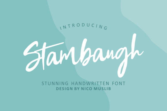 Stambaugh: The Handwritten Typeface That Elevates Your Craft Brand