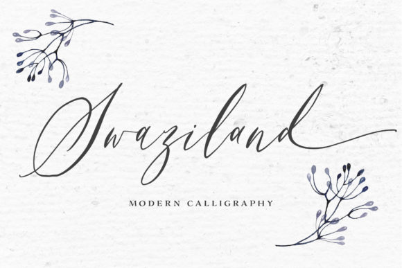 Swaziland Script Review: A Designer’s Practical Take